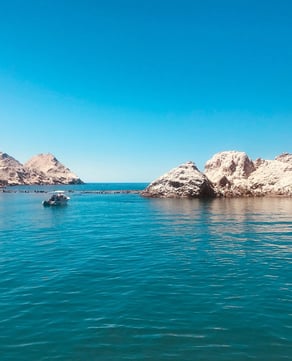 Bird Island (Isla San Jorge)